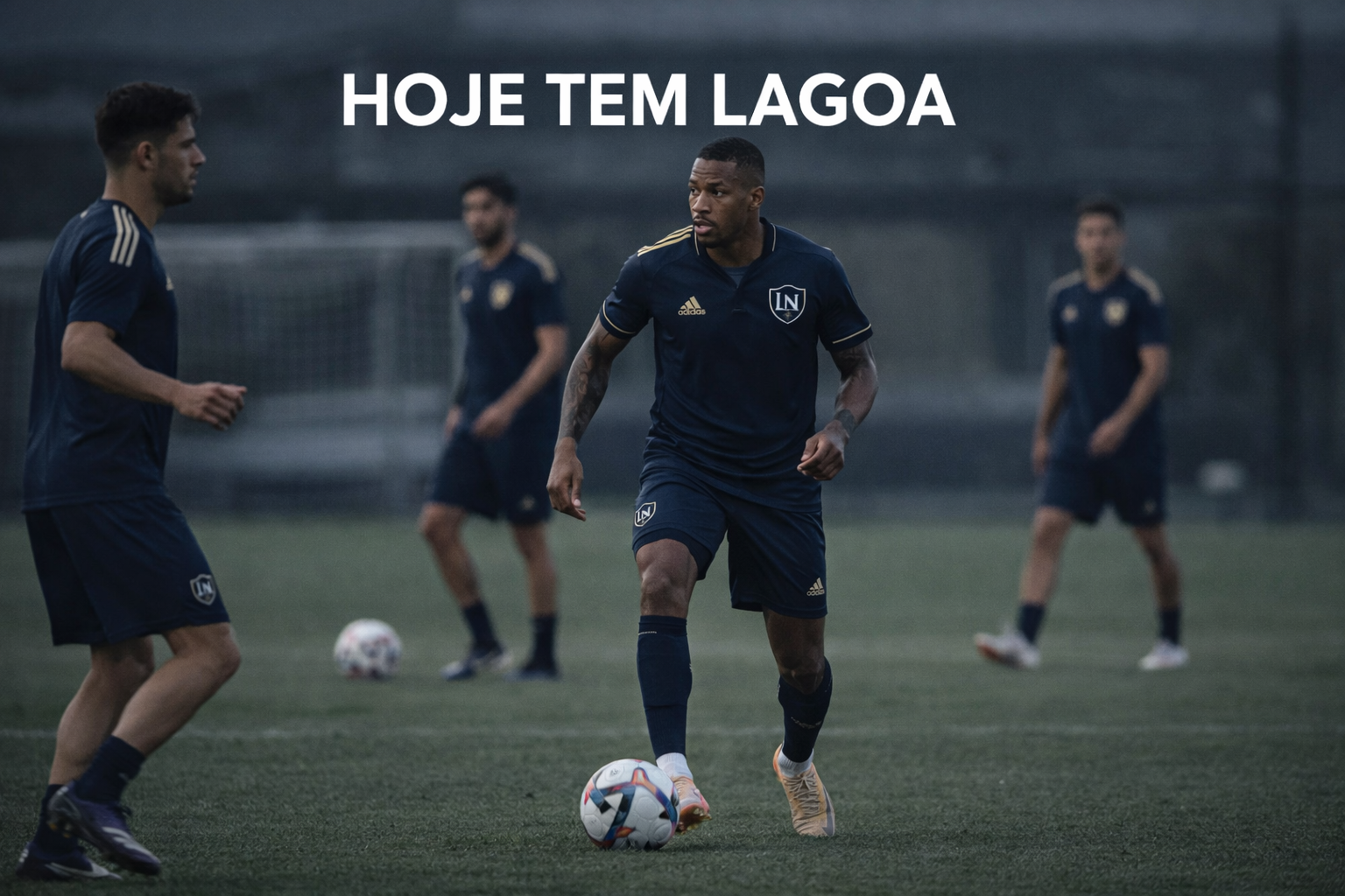 Imagem da Publicação